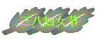 ˸Ů