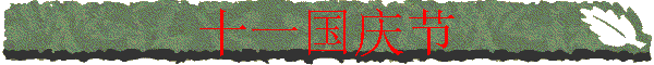 ʮһ