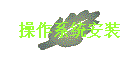 ϵͳװ