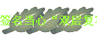 ǩġ˫㸴дֽ