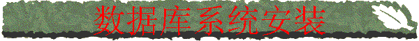 ݿϵͳװ