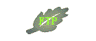FTP