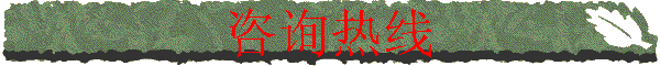 ѯ