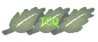 ICQ