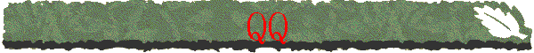 QQ