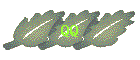 QQ