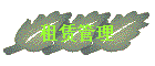 ޹